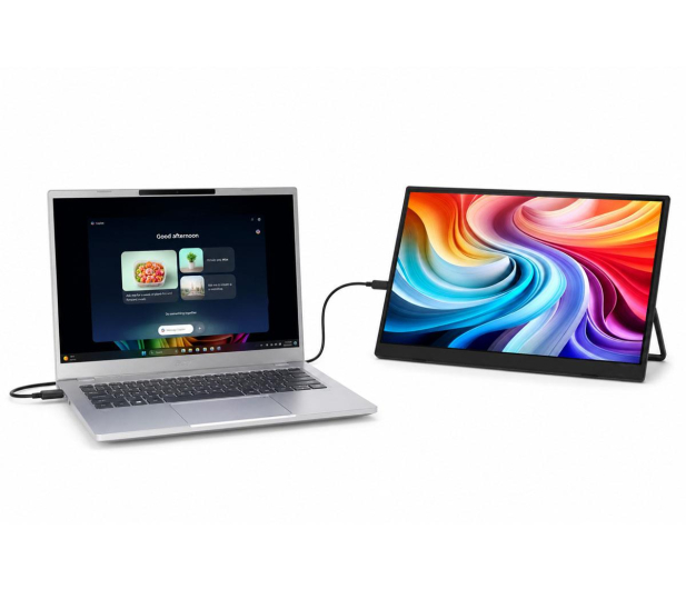 Acer  PM191QEbmiuux - 1502267 - zdjęcie 10